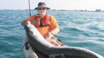 caught released tarpin