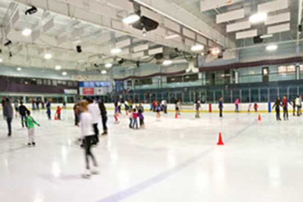 ellenton ice rink