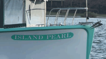 Island Pearl Excursions logo