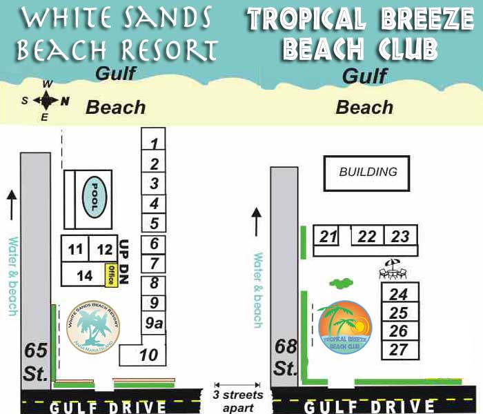 Florida Shell Guide  White Sands Beach Resort