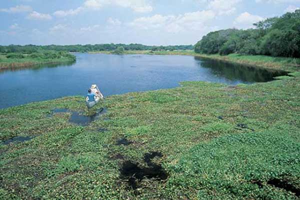 Myakka River State Park